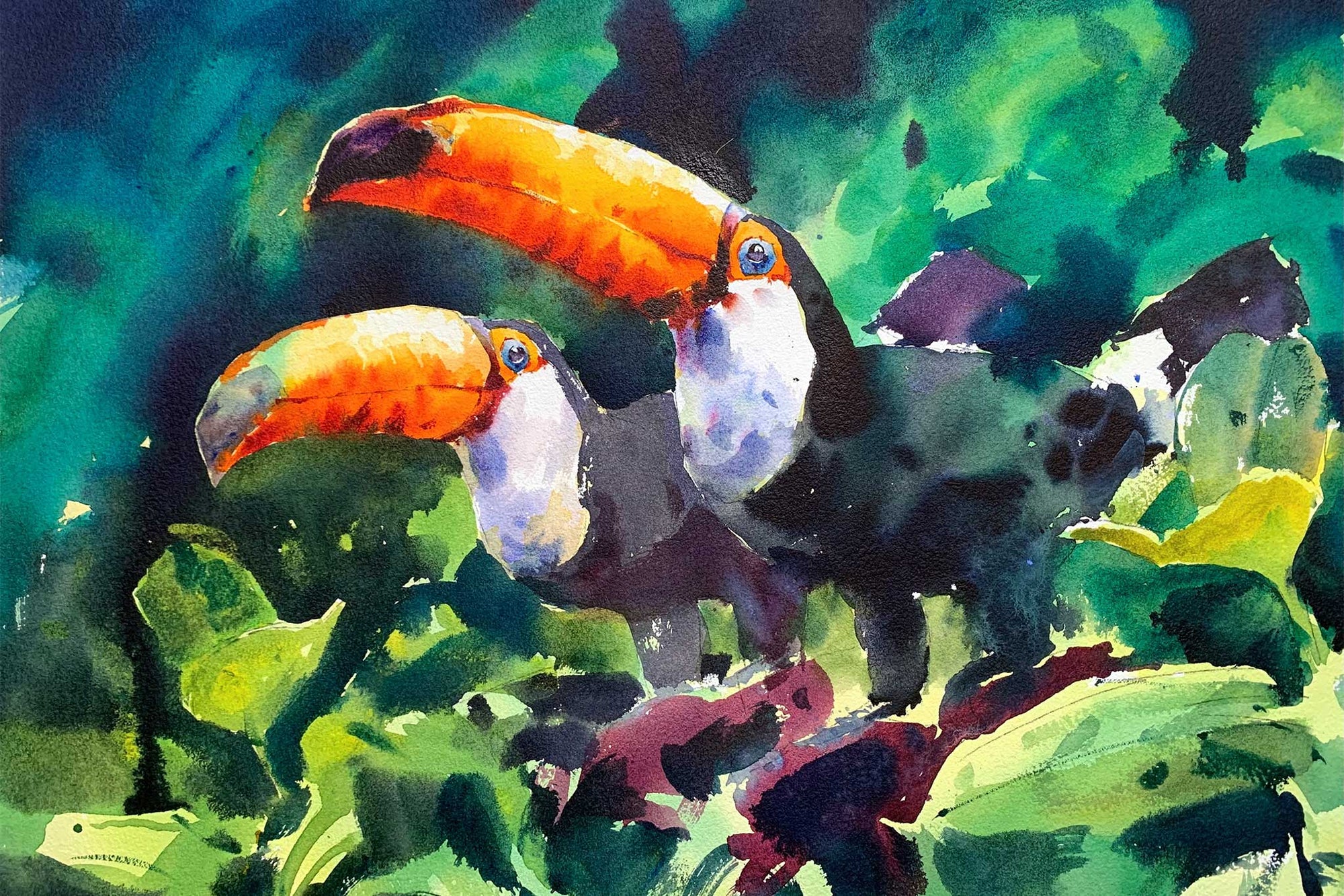 Toucans - Going Big With Backgrounds