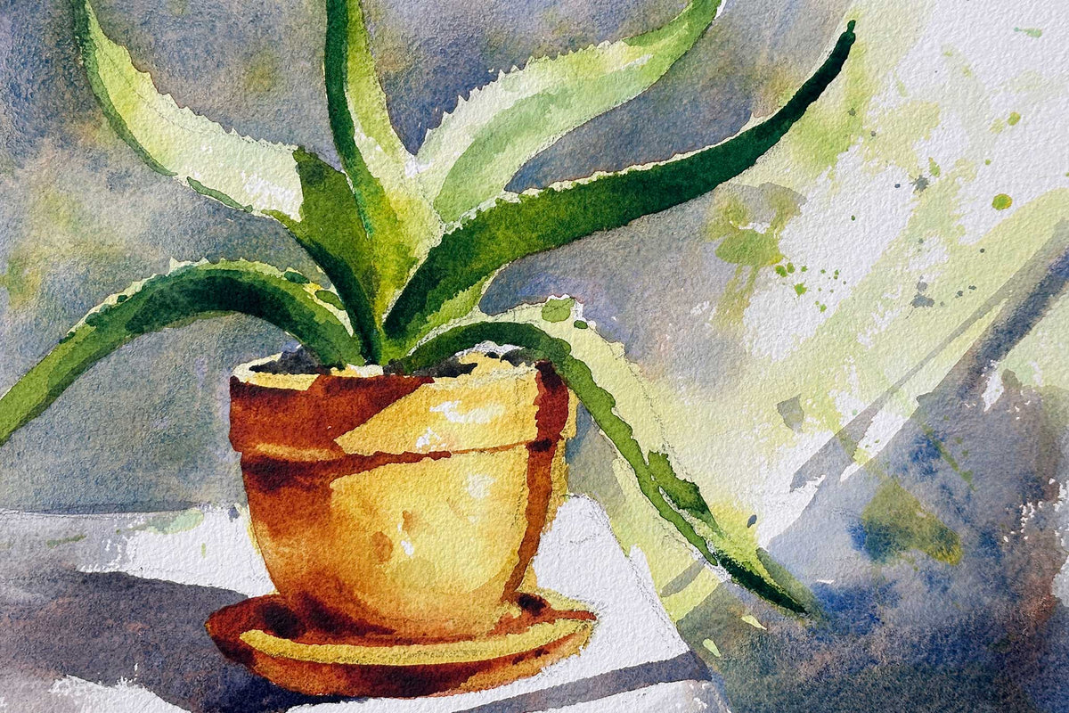Aloe Vera in the Sun - Back to Basics : Preview