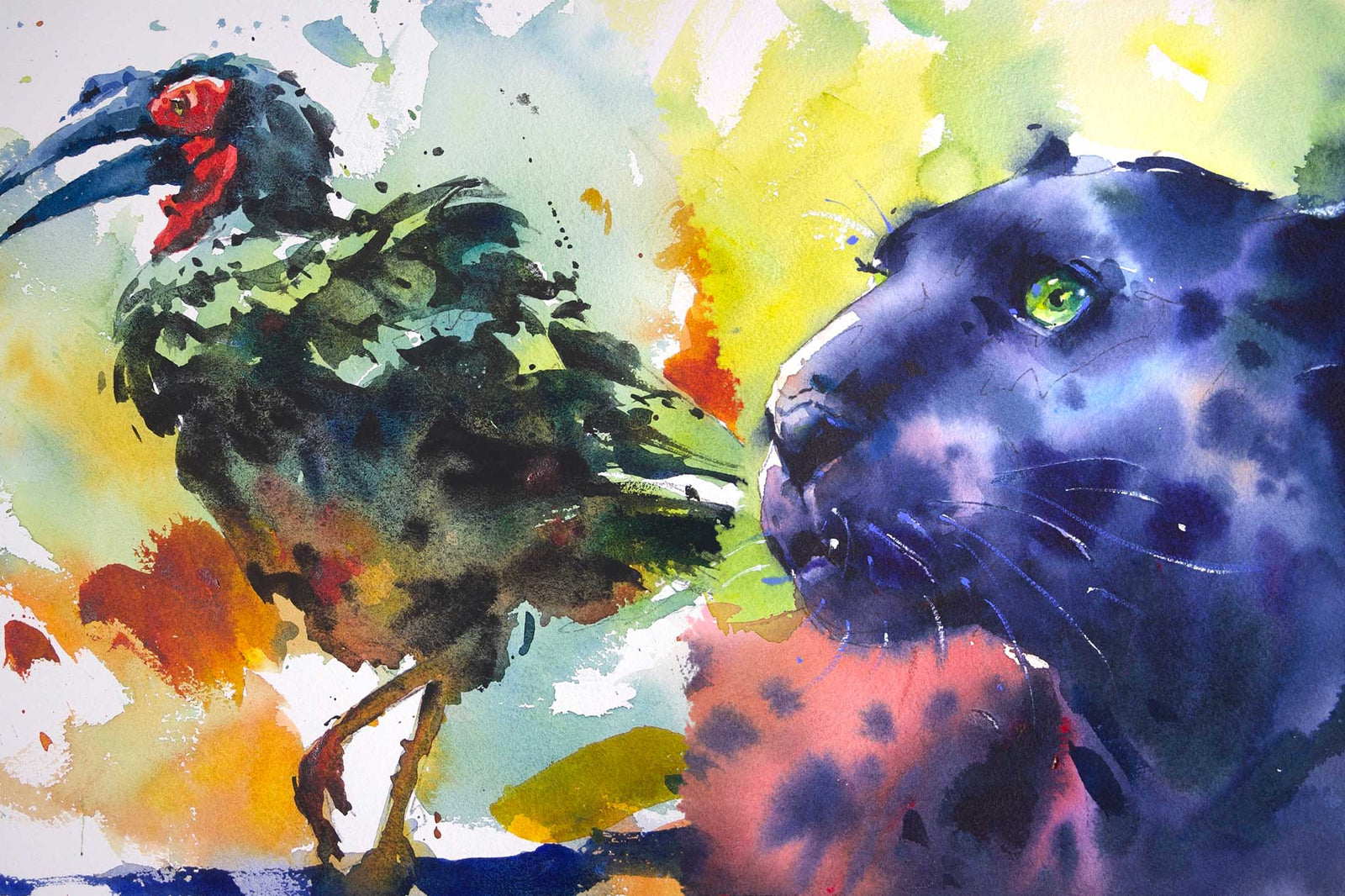 Working with Black - Black Leopard & Hornbill