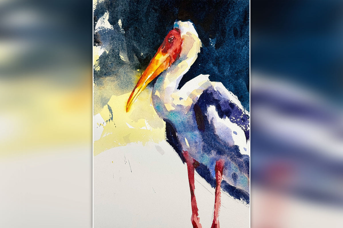 Colourful Yellow-Billed Stork - Confidence with Colour