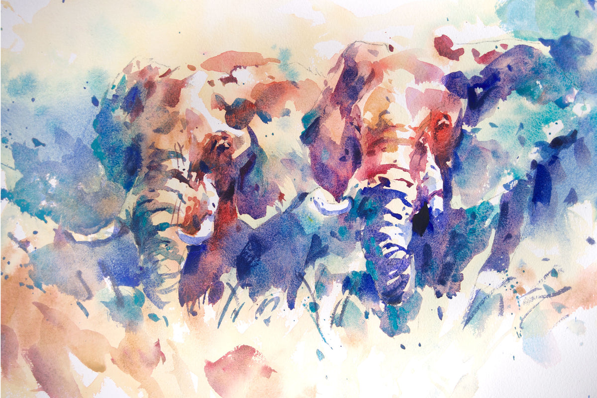 Elephant Pair - Pushing Colours!