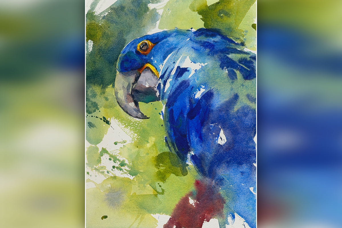 Hyacinth Macaw - Loose & Free Blues