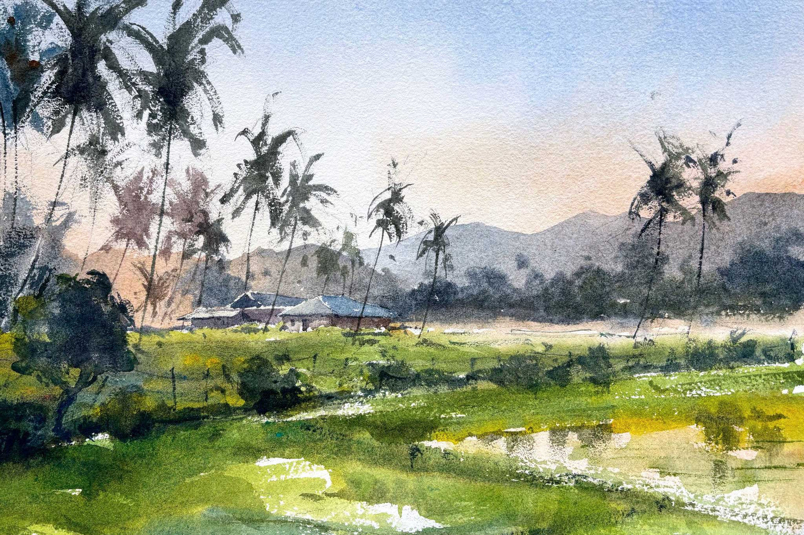 Paddy Fields - Composition and a Simple Process