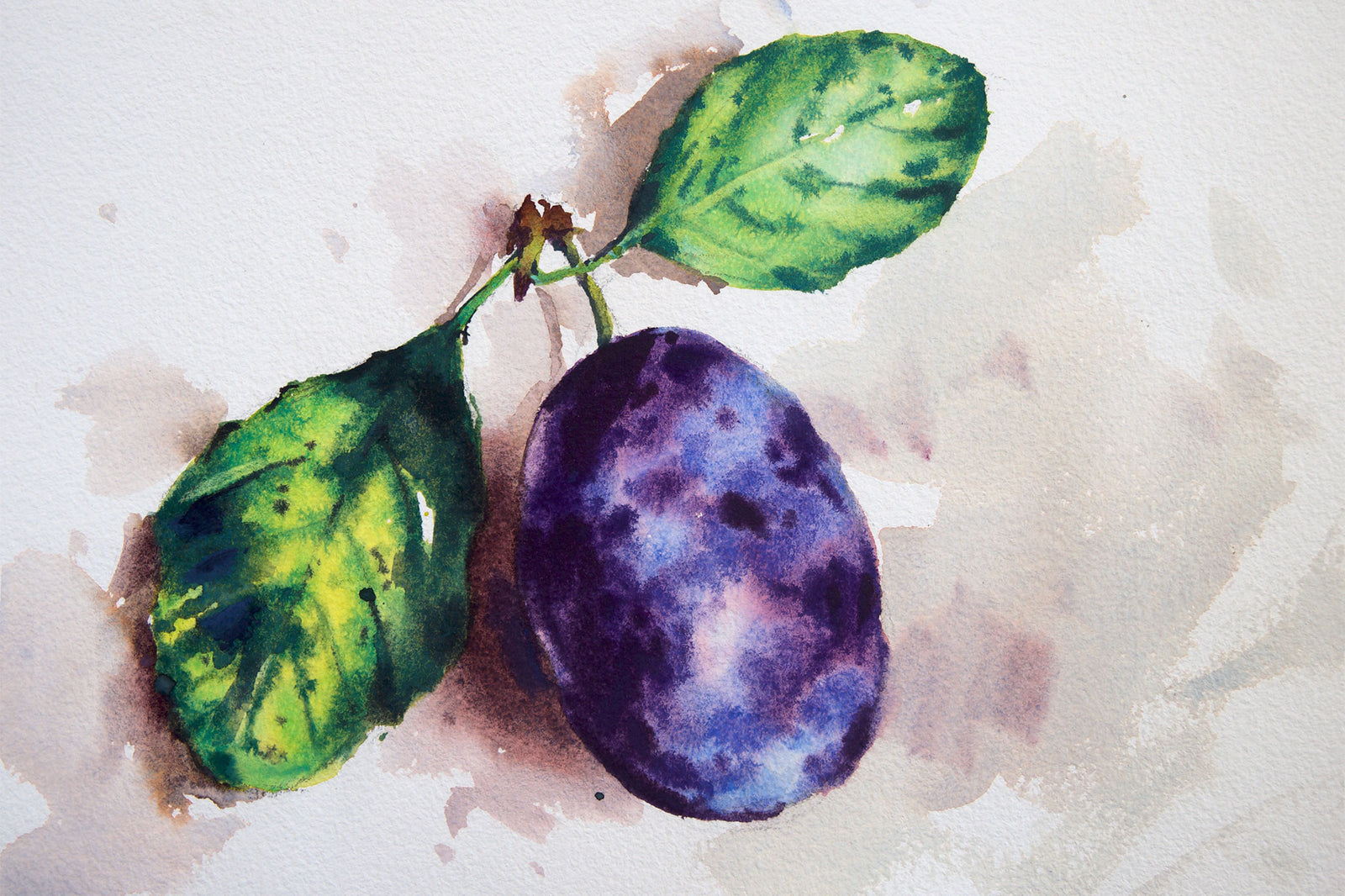 Plum and Two Leaves – Simple is Effective!