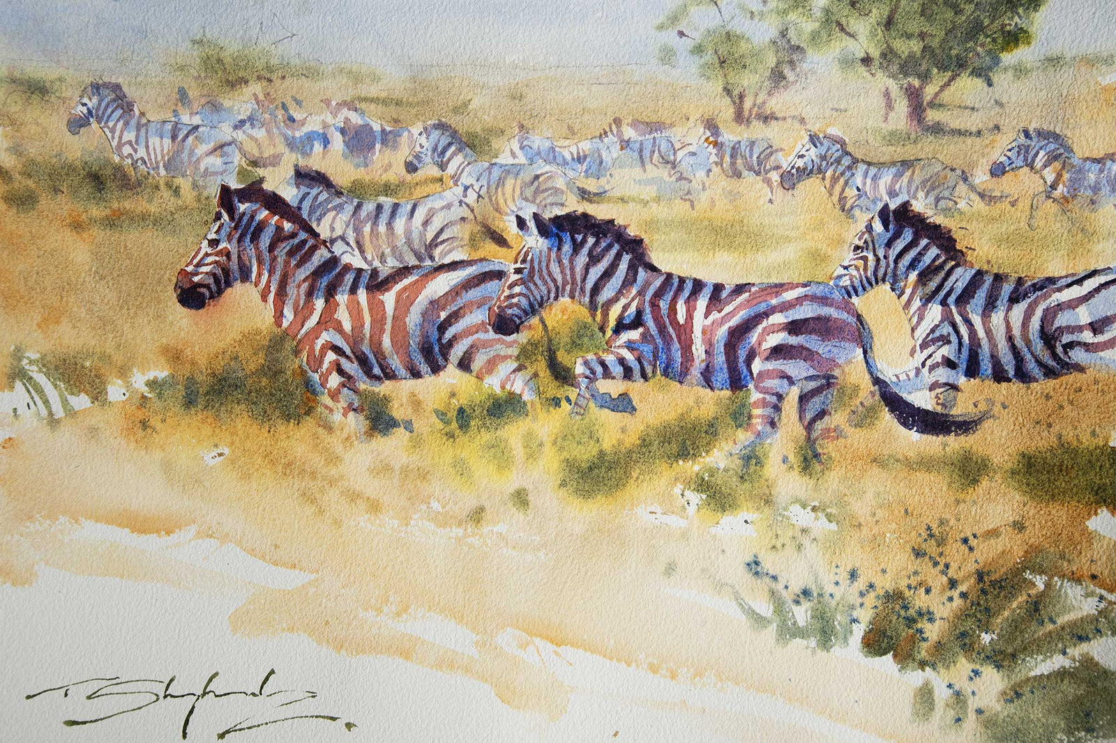 Running Zebras