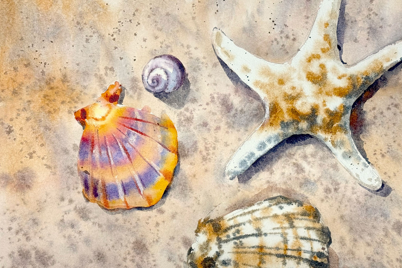 Seashore Finds - Wet in Wet Texture & Light