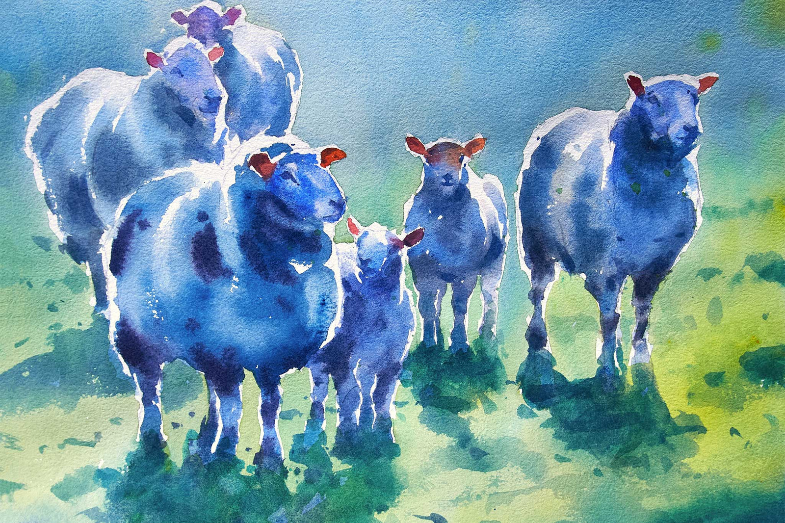 Backlit Sheep -  Composition