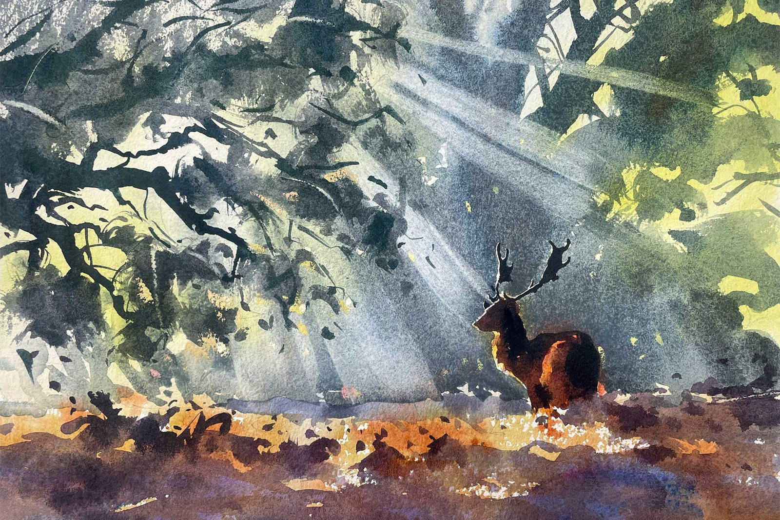 A Sunlit Stag - Creating Light & Mood