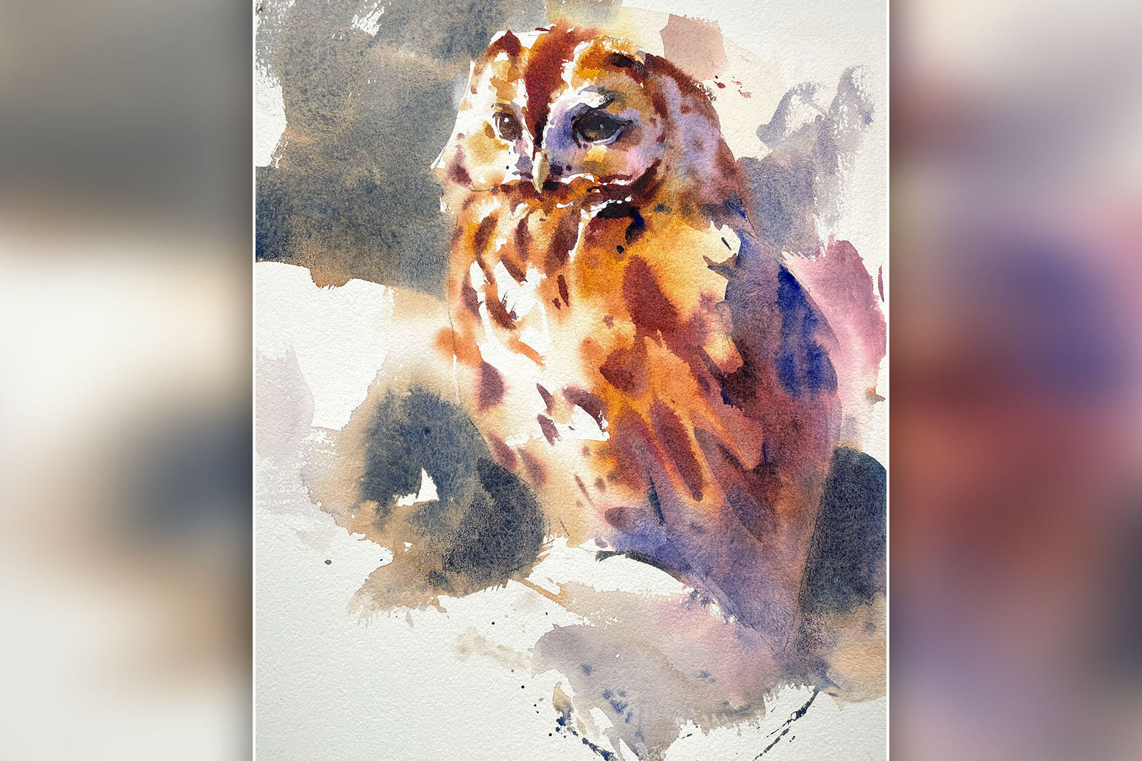 Markings & Patterns - Tawny Owl