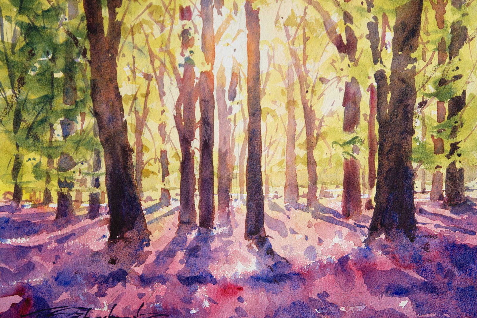 Bluebell Wood - Simplifying Our Subject