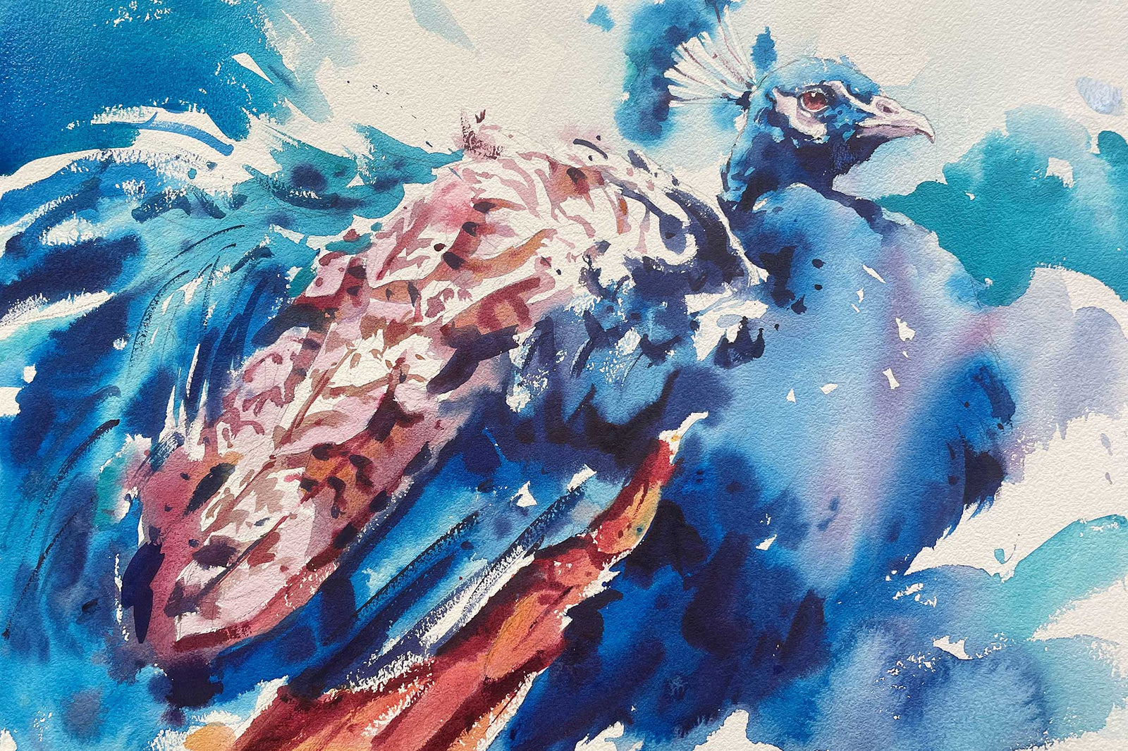 35. Big Peacock - Playing with Paint