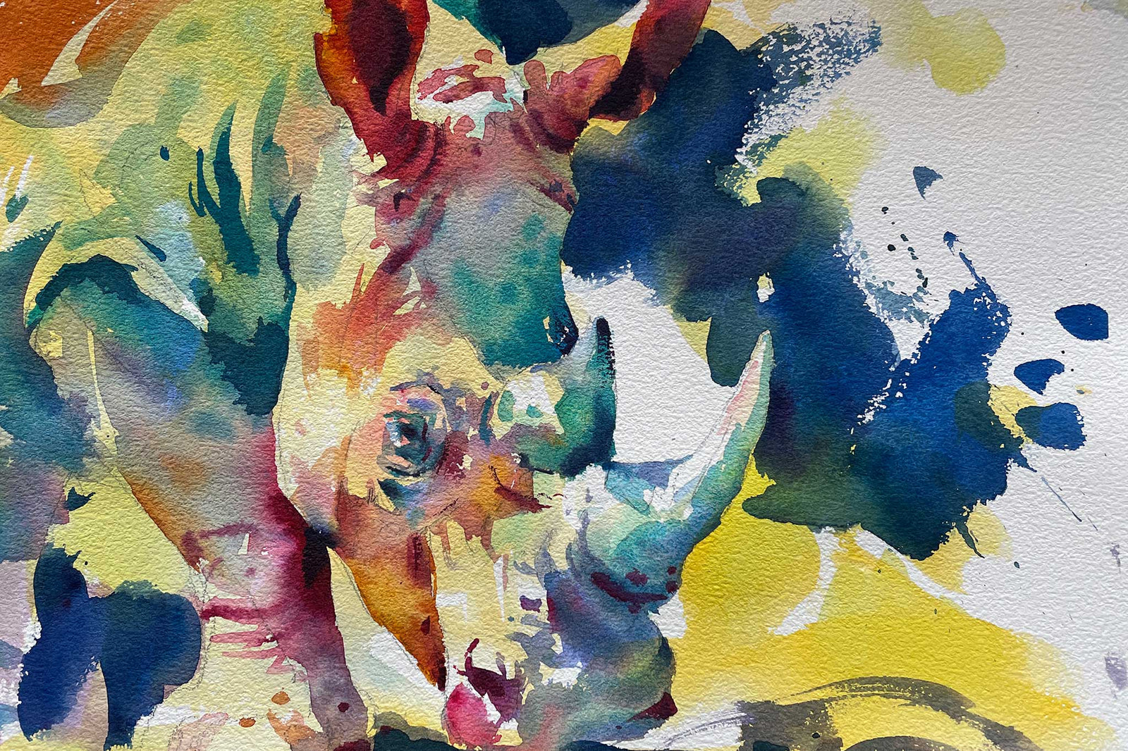 Rhino - Edges & Arbitrary Colours