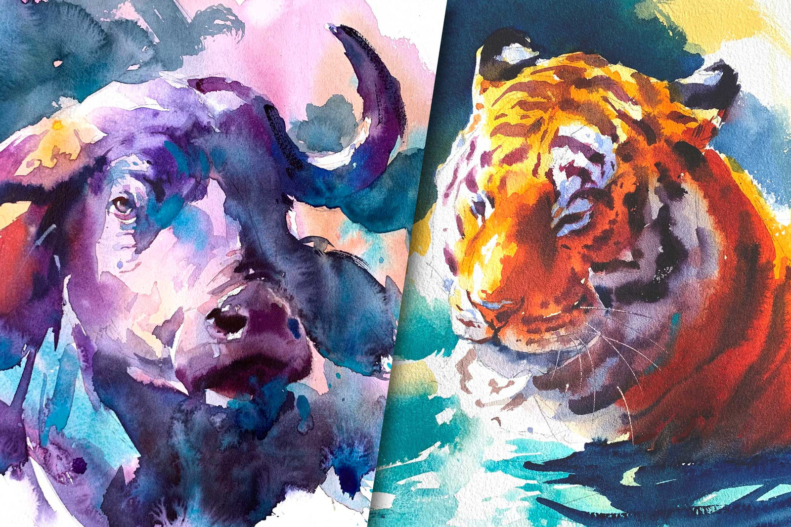 Wildlife Demo - Tiger & Water Buffalo; Real-time